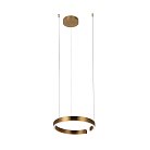 Подвесной светильник LOFT IT 10013S Ring