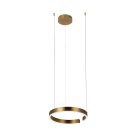 Подвесной светильник LOFT IT 10013S Ring