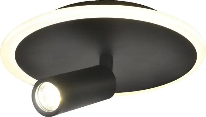 Настенно-потолочный светильник Escada 20046SMA/01LED BK 20046LED