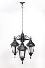 Уличный светильник подвесной Oasis Light 79750S/3 Bl