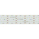 Светодиодная лента Arlight 021204(2) A420 60mm