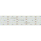 Светодиодная лента Arlight 021204(2) A420 60mm