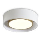 Потолочный светильник Freya FR6170CL-L52BS Cozy