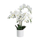Искусственное растение в горшке Eglo 428024 HYUGA