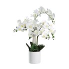 Искусственное растение в горшке Eglo 428024 HYUGA