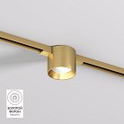 Светильник для трека Denkirs DK5743-SB SHINE SPOT