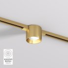 Светильник для трека Denkirs DK5743-SB SHINE SPOT