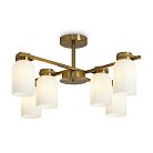 Потолочная люстра Freya FR5446PL-06BS Kamelia