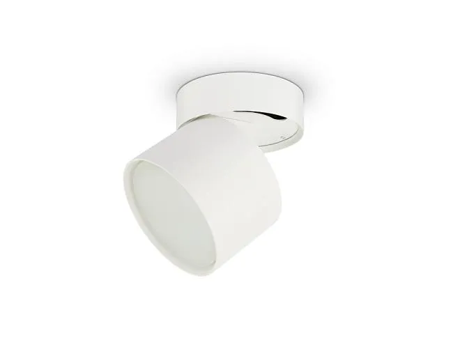 Спот ЭРА OL12 GX53 SWH