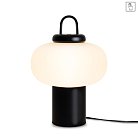 Настольный светильник Freya FR6175TL-L10B Take