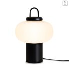 Настольный светильник Freya FR6175TL-L10B Take