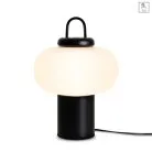 Настольный светильник Freya FR6175TL-L10B Take