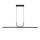 Подвесной светильник Favourite 4096-2P Raya