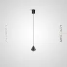 Подвесной светильник DARIUS Цвет Черный Lampatron 7252-19943