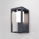 Настенный светильник (бра) Outdoor Maytoni OSL457WL-L2GF3K Shatter