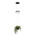 Подвесной светильник Loft IT 10121/B Jardin