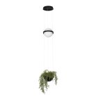Подвесной светильник Loft IT 10121/B Jardin
