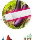 Светильник для растений ЭРА FITO-36W-RB-N