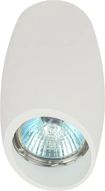 Точечный светильник ЭРА OL20 WH Точечный светильник ЭРА OL20 WH