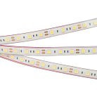 Светодиодная лента Arlight 036291
