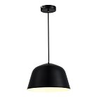 Светильник подвесной Evoluce SLE1805-403-01 BLANK