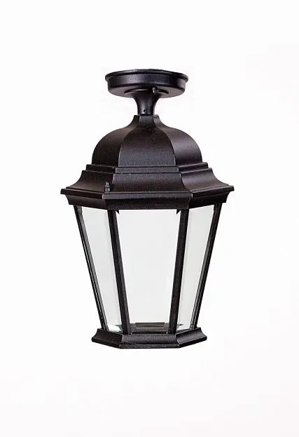 Потолочный светильник уличный Oasis Light 91405LA Bl ASTORIA 2