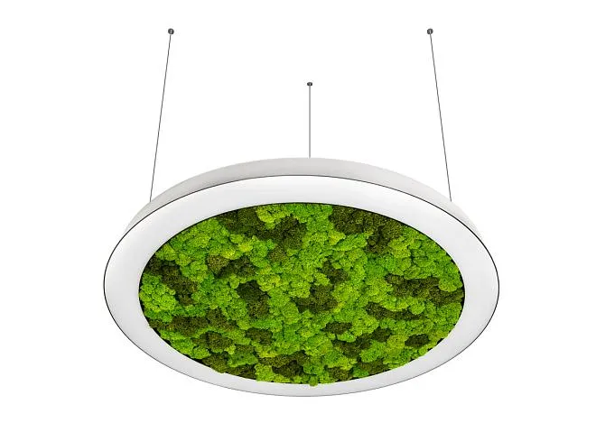 Подвесной светодиодный светильник, 72Ватт, D-800мм. Donolux dl800s72ww moss white Aura Moss Подвесной светодиодный светильник, 72Ватт, D-800мм. Donolux dl800s72ww moss white Aura Moss