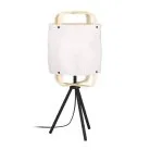 Настольная лампа Eglo 43934 SURFLEET