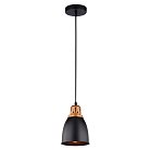 Подвесной светильник Arte Lamp A4248SP-1BK EURICA