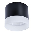 Потолочный светильник Arte Lamp A5554PL-1BK Castor