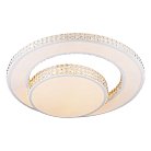 Потолочный светильник Escada 10205/2LED