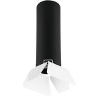 Потолочный светильник Lightstar R497436 Rullo