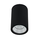 Потолочный светильник Arte Lamp A1807PF-1BK TORCULAR