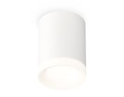 Комплект накладного светильника с акрилом Ambrella light XS7421024 Techno