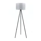 Торшер LightHall LH012036 Dream