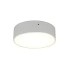 Светильник настенно-потолочный Aployt APL.0113.09.12 Evon