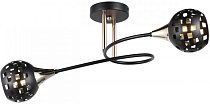 Потолочная люстра Imex MD.19074-2-S-BK+FGD