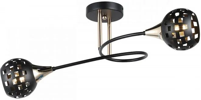 Потолочная люстра Imex MD.19074-2-S-BK+FGD