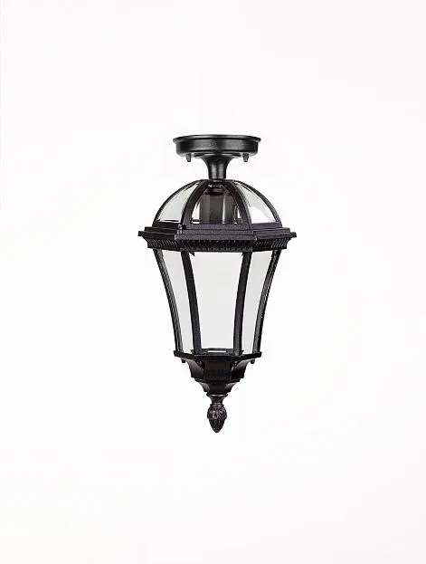 Потолочный светильник уличный Oasis Light 95205SA Bl ROMA S