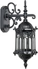 Настенный фонарь уличный Oasis Light 89902S/08 Bl DELI S