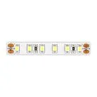 Светодиодная лента 2835 9,6Вт/м 4000К 200Лм/м Ra>90 IP20 L5000xW12 24В ST Luce ST1001.410.20.1 Светодиодные ленты
