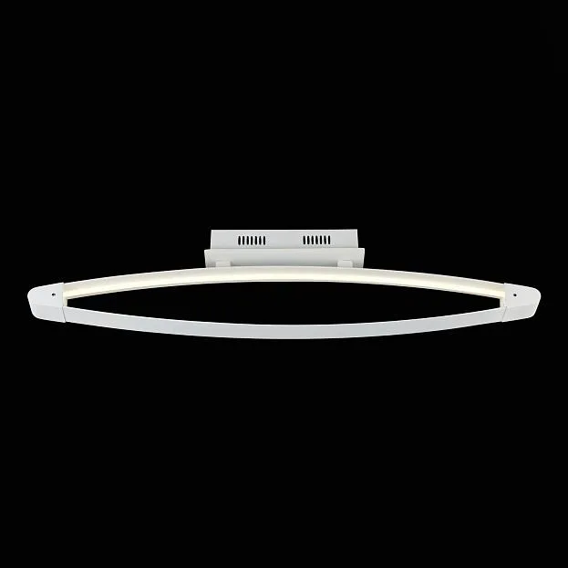 Потолочная люстра ST Luce SL920 SL920.102.01