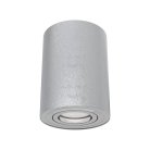Потолочный светильник Technical Maytoni C016CL-01S