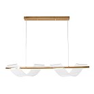 Подвесной светильник Arte Lamp A2093SP-2GO FIORITA