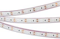 Светодиодная лента Arlight 033792 A120 PFS