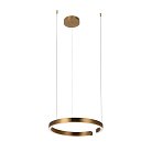Подвесной светильник LOFT IT 10013M Ring