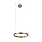 Подвесной светильник LOFT IT 10013M Ring