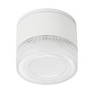 Уличный потолочный светильник Arte Lamp A1926PF-1WH PIAUTOS