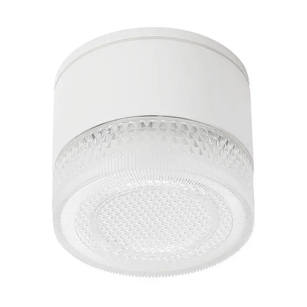 Уличный потолочный светильник Arte Lamp A1926PF-1WH PIAUTOS