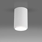 Потолочный светильник Elektrostandard DLN112 GU10 белый Spike a048144